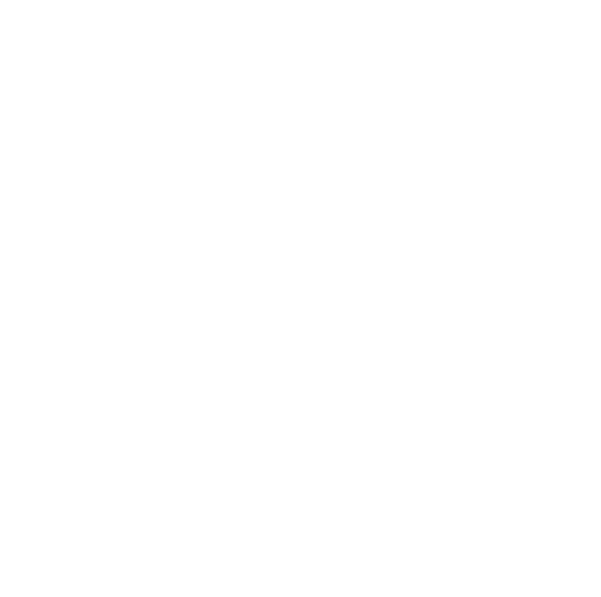 Instituto-Joana-Borghetti-Marca-12-1